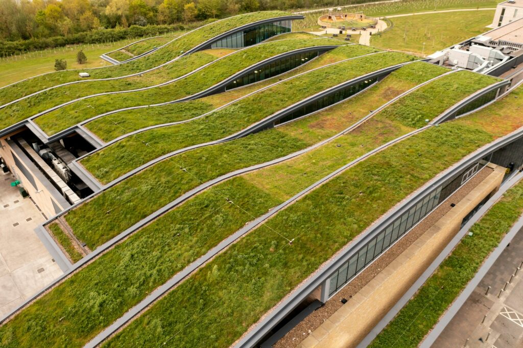 An extensive wildflower green roof on a carbon neutral building