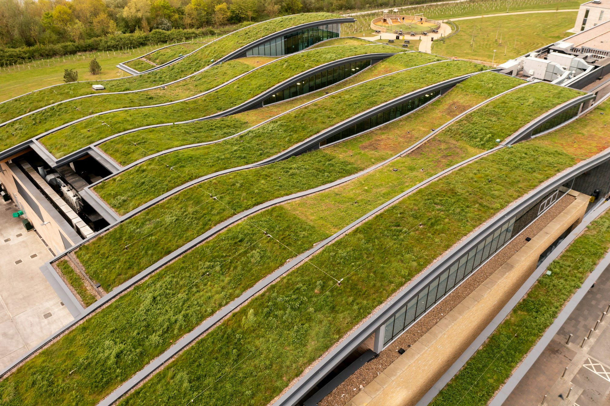 An extensive wildflower green roof on a carbon neutral building