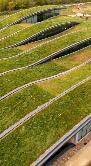 An extensive wildflower green roof on a carbon neutral building
