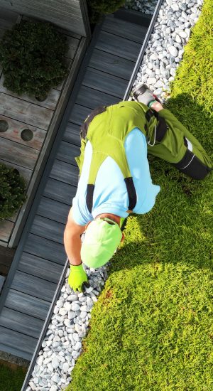 Landscaper Finishing Green Roof Installation. Perennial Succulents Sedum