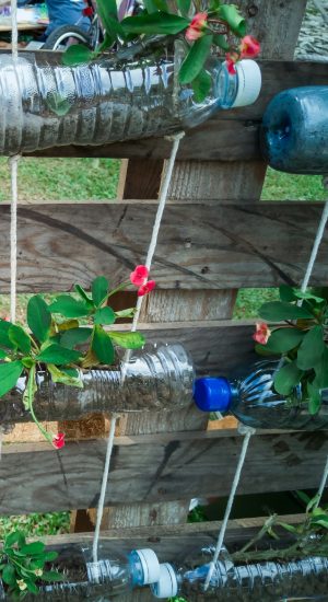 recycled bottles hanging on the vertical garden