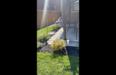 FinishedBackyard